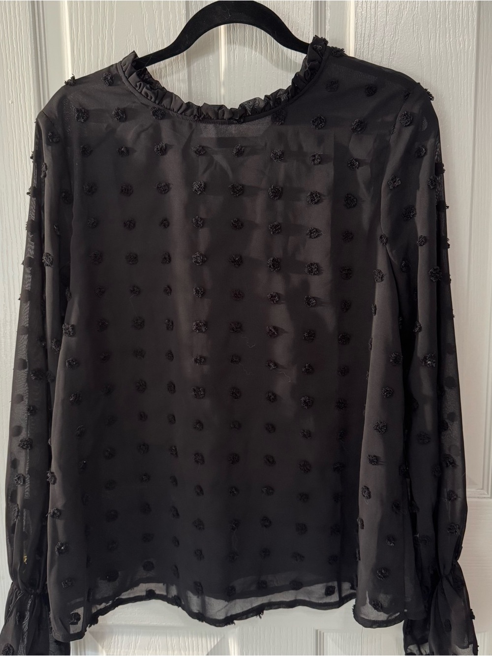 Women’s Black Sheer Dot-Texture Long Sleeve Top